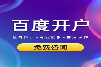 SEM广告投放的技巧与策略——成功案例分享