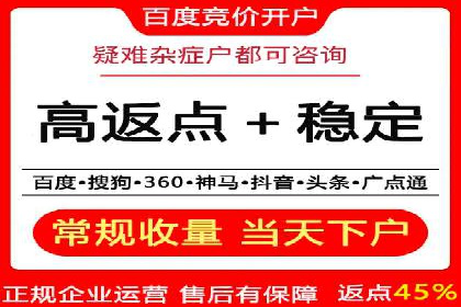 顶级SEM运营公司案例分析